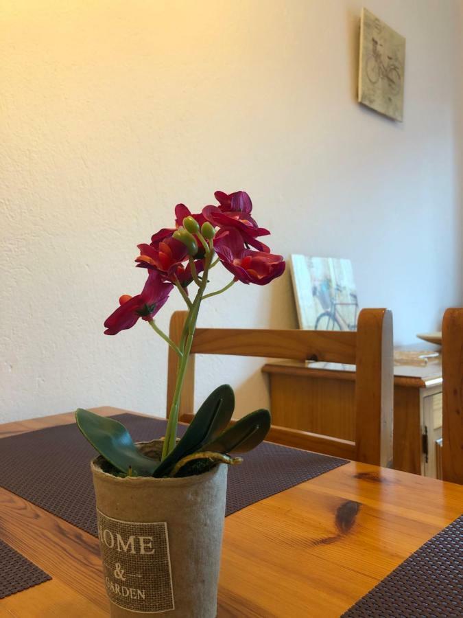 Apartaments S'Arenella Cadaqués Dış mekan fotoğraf